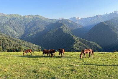 Svaneti 4 Days Private tour (Mestia, Ushguli)