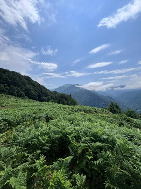 Full Day Mountine Tours from Batumi - Makhuntseti Waterfall Stop: Photos, Snacks, and Optional Adrenaline