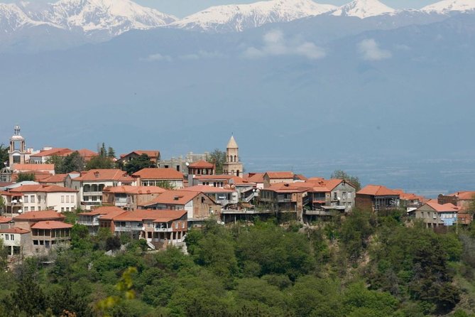 Full Day Private Wine Tour in Kakheti Region with Lunch and 3 Wine Tastings - Key highlights to watch for