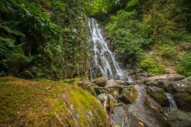 Full Day Tour from Batumi to Waterfalls - Andrew the Apostle Sculpture and Waterfall: A Quick Photo, Real Start
