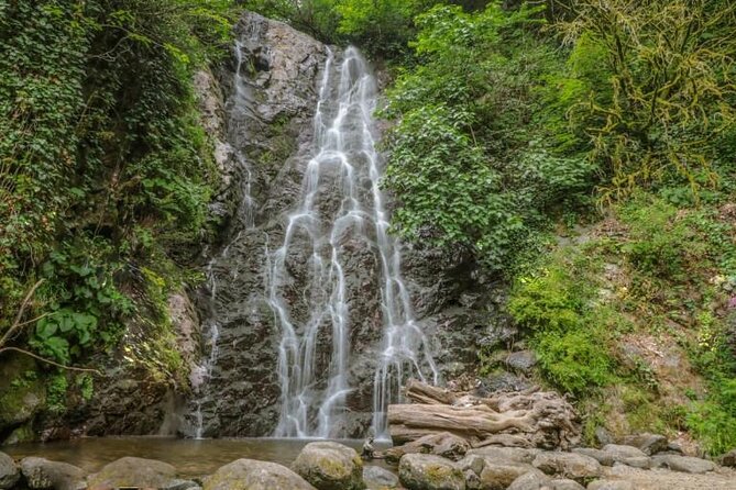 Full Day Tour from Batumi to Waterfalls - Gonio Fortress: A Tight Window on Historical Walls