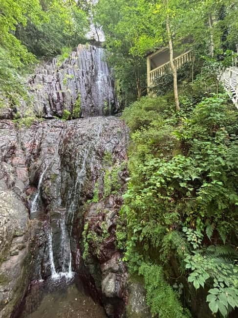 Full Day Tour from Batumi to Waterfalls - Price, Crowds, and Guide Reality Checks