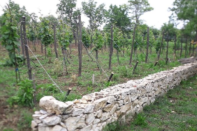 Gelati, Prometheus, Sanatoriums and Wine tour - Prometheus Cave: The Easy Jump From Monastery to Underground Wonder