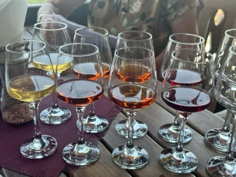 Georgian Wine Tasting at Local Cellar in Batumi - The experience flow: tour first, then tasting