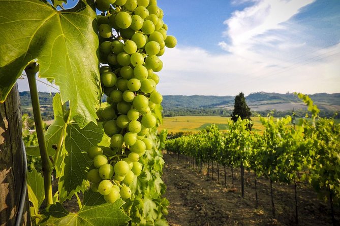 Grand tour to Kakheti for wine lovers: Telavi-Kvareli-Sighnaghi - Gremi Museum and Citadel: Alazani valley views plus a royal capital claim