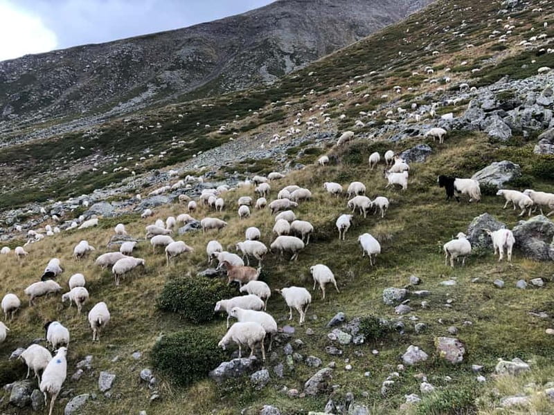 Gudauri and Kazbegi: Private Day Trip from Tbilisi - Mtskheta: Where Georgia’s Story Begins