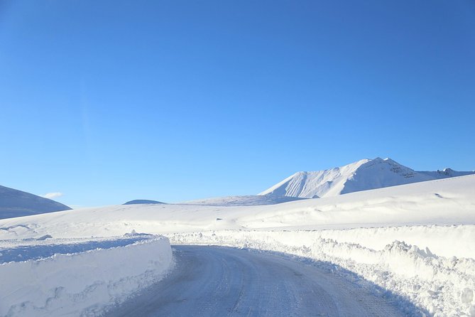 Gudauri Ski Resort day tour from Tbilisi - Gudauri Ski Resort: The 3-Hour Payoff