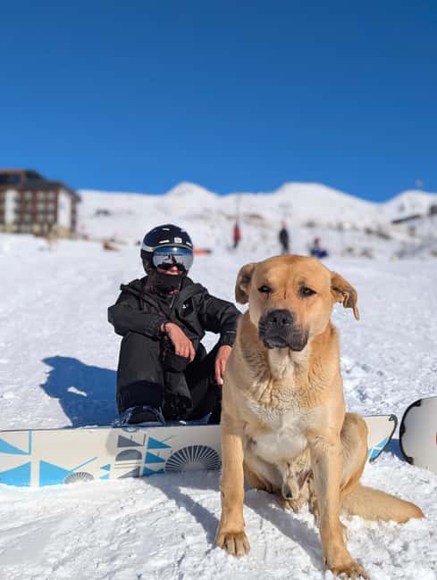 Gudauri: Snowboard/Ski Instructors - Key Points You’ll Care About in Gudauri