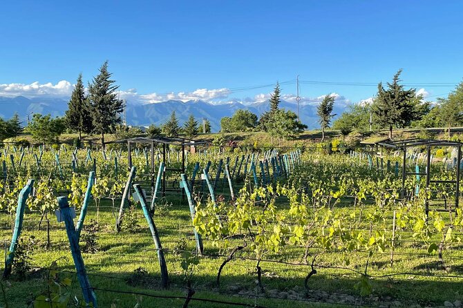 Kakheti.All inclusive Wine tour with family lunch - Key things to know before you go