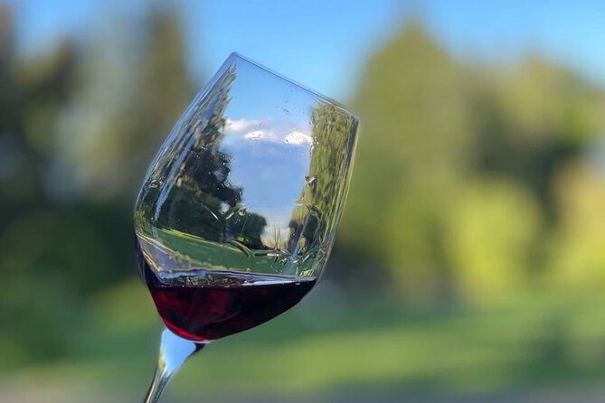 Kakheti.All inclusive Wine tour with family lunch - Kakheti in one day, and why this route makes sense