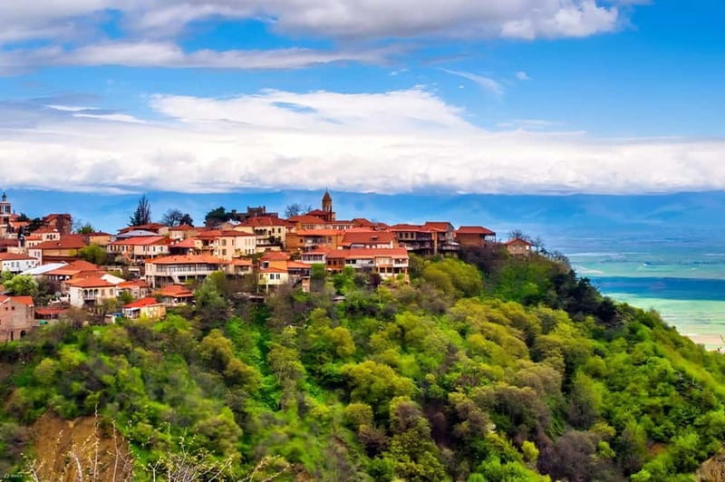 Kakheti: Bodbe, Sighnaghi, and Telavi Full-Day Tour - Price and Logistics: How This Stays a Good Value