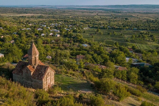 Kakheti, Bodbe, Sighnaghi and Telavi (Group Tour) - Telavi: 900-year-old tree, King Erekle’s palace views, and a second tasting