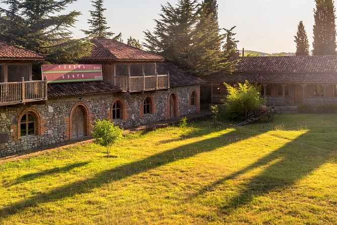 Kakheti, Bodbe, Sighnaghi and Telavi (Group Tour) - Timing, lunch reality, and how to survive the pacing