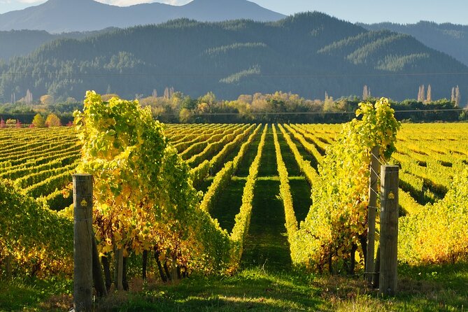 Kakheti: Bodbe, Sighnaghi, Telavi Wine Tour from Tbilisi - Telavi wine house and lunch overlooking the Caucasus