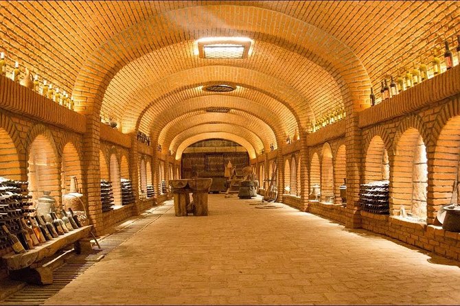 Kakheti Full Day Private Tour - KTW in Patardzeuli: modern winemaking with traditional Georgian roots