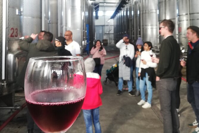 Kakheti Full Day Private Tour - Khareba Wine Tunnel: the cool stop that costs extra