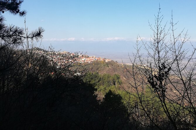 Kakheti Full Day Private Tour - Is $69 good value for this Kakheti private tour?