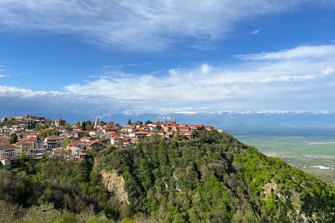 Kakheti-Sighnaghi Day Trip with wine tasting and Bodbe Monastery - A 7-hour Kakheti-Sighnaghi day trip that hits wine, faith, and hill town views