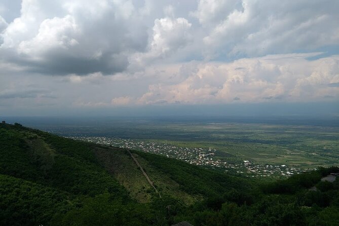 Kakheti-Sighnaghi Day Trip with wine tasting and Bodbe Monastery - Patardzeuli wine tasting: 4 wines plus chacha in a factory visit
