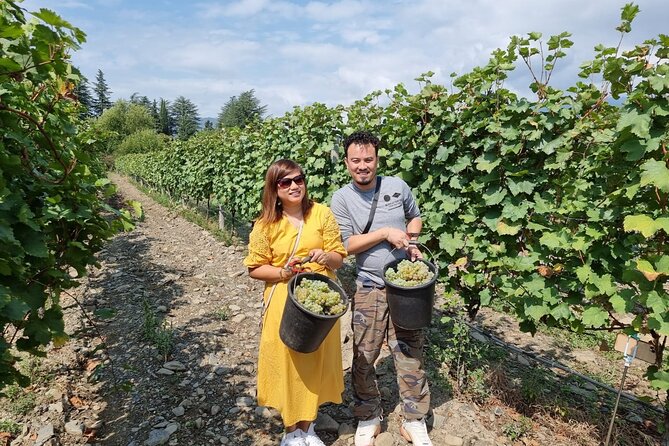 Kakheti - Small wineries and family-cooked lunch • Private tour - Bodbe Monastery of St. Nino, Peace on the Hillside