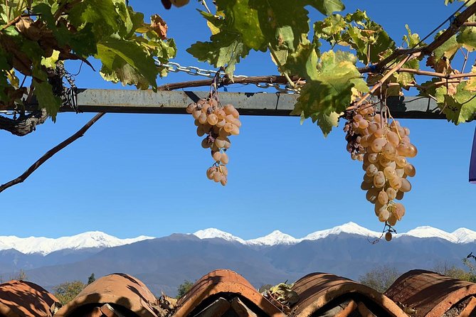 ️ Kakheti tour - Private Full Day Wine tour with Lunch and Wine tasting - A Kakheti Day That Feels Like Local Rhythm, Not a Checklist