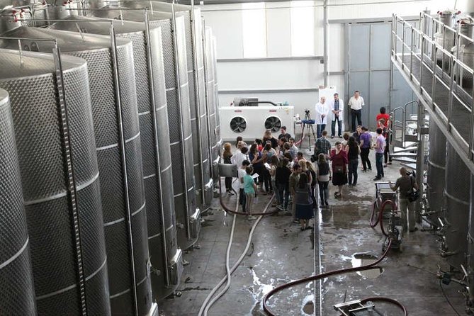 Kakheti Wine & Sighnaghi Private Tour from Tbilisi - KTW Wine Factory in Patardzeuli: five tastings, Georgian technique, modern production