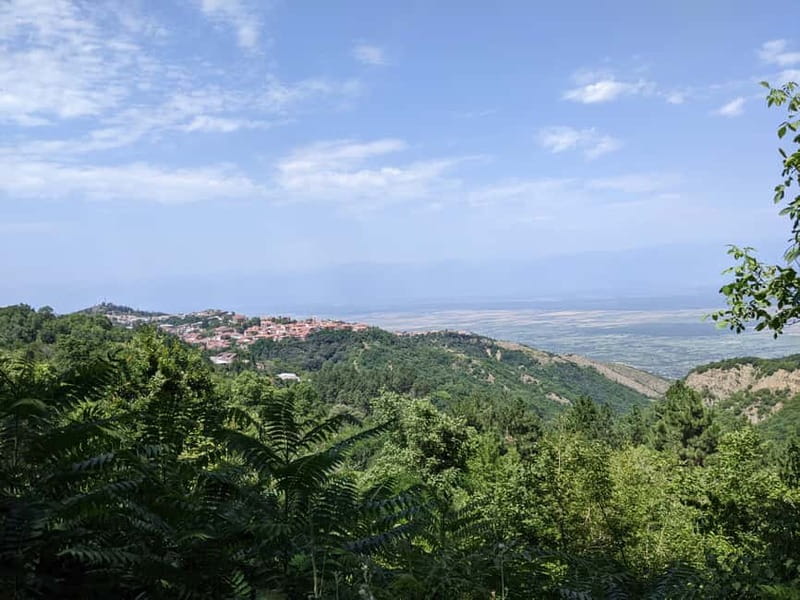 Kakheti: Wine tour from Tbilisi - Enjoy 6 sorts of wine - Why Kakheti wine tasting feels different here