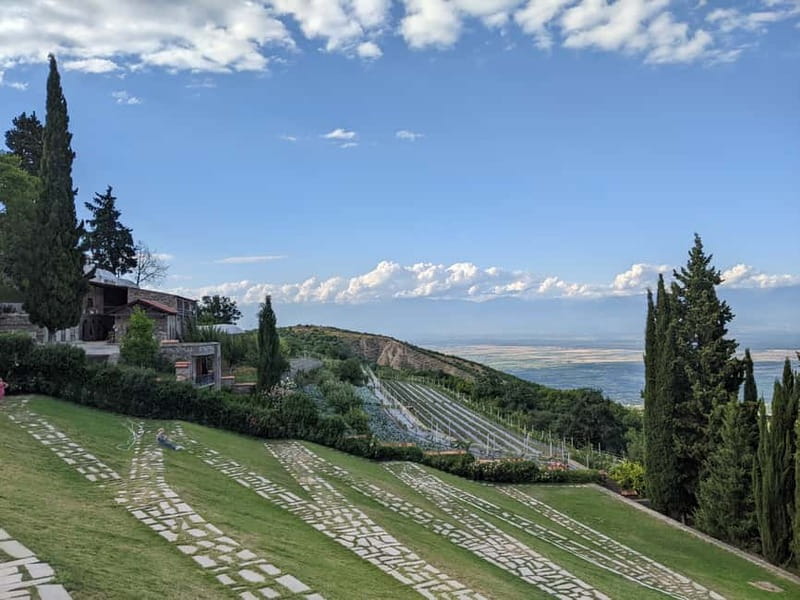 Kakheti: Wine tour from Tbilisi - Enjoy 6 sorts of wine - Sighnaghi and Bodbe Monastery: a day stop that still feels like a visit