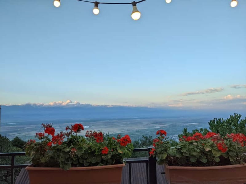 Kakheti: Wine tour from Tbilisi - Enjoy 6 sorts of wine - What this tour is best for, and who should rethink it