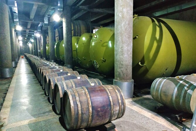 Kakheti Wine Tour with 20+ Wine Tastings & Qvevri Masterclass - KTW: Stainless Steel Tanks and Oak-Barrel Brandy Tasting
