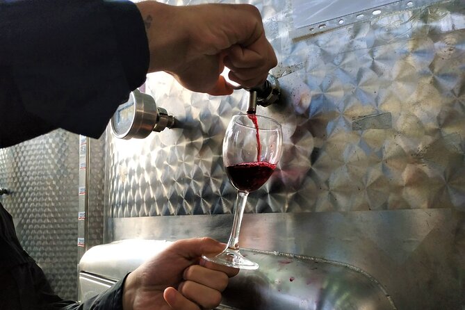 Kakheti Wine Tour with 20+ Wine Tastings & Qvevri Masterclass - Price and Value: What $147.50 Gets You in Real Terms