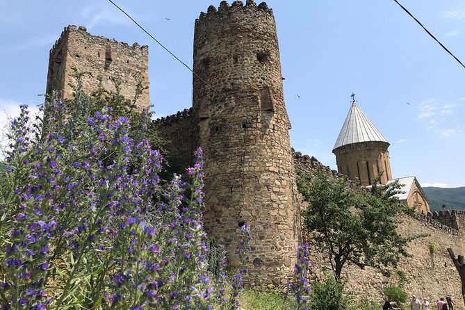 Kazbegi Day Trip (Jinvali, Ananuri, Gudauri, Gergeti church) - Private tour value: how $98 adds up when you factor in the time you save