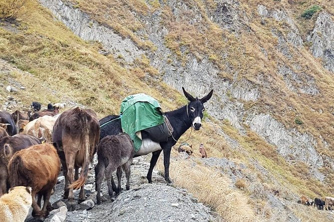 Kazbegi MOUNTAIN Tour (GLORY OF THE NATURE) + MANY NEW LOCATIONS - Kobi sulfur waters, then Gergeti Trinity Church with free admission