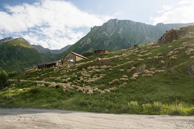 Kazbegi - One Day Private Trekking Tour to Truso Valley - Stop 1: Truso Gorge and the loop from Okrokana