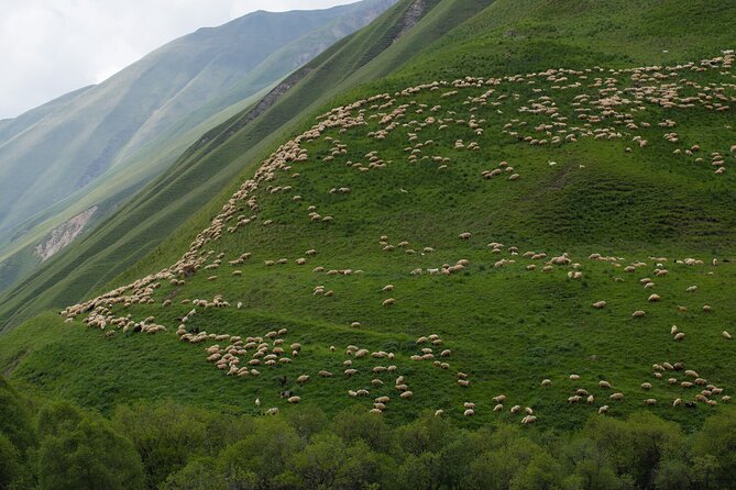 Kazbegi - One Day Private Trekking Tour to Truso Valley - Stop 3: Ketrisi picnic by a natural pool (easy, but don’t underestimate it)
