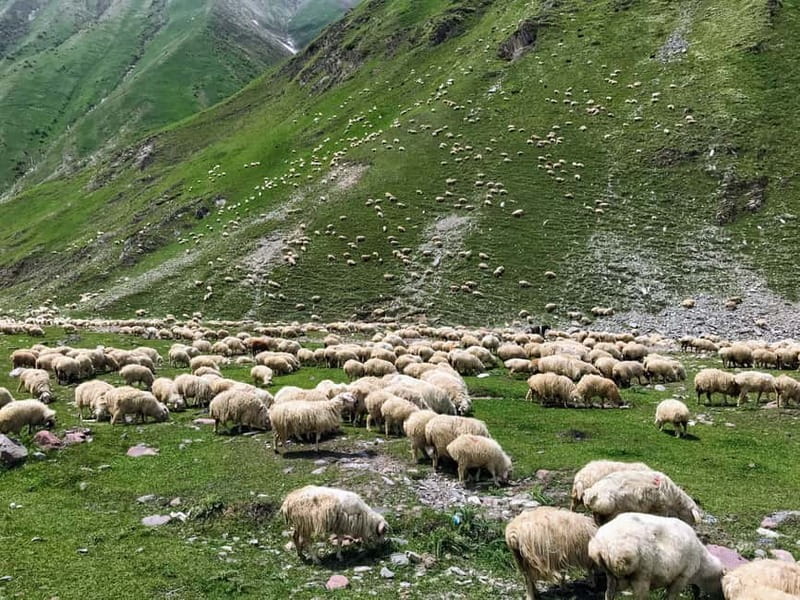 Kazbegi, Stepantsminda, and Gudauri Tour - Ananuri Fortified Castle Ensemble: A Castle Complex on the River