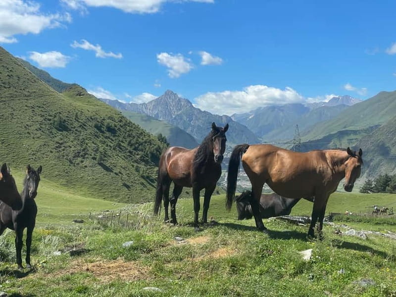 Kazbegi:Sunset Horse Riding Tour from Rooms Hotel Kazbegi - Why a Kazbegi horse ride starts with the right kind of convenience