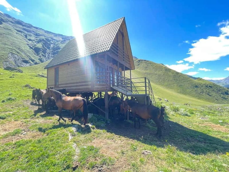 Kazbegi:Sunset Horse Riding Tour from Rooms Hotel Kazbegi - Price and value: what $39 really buys you