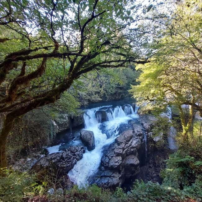 Kutaisi: Okatse-Martvili Canyons,Prometheus Cave, Waterfalls - Okatse Canyon’s 150-meter transparent-floor bridge