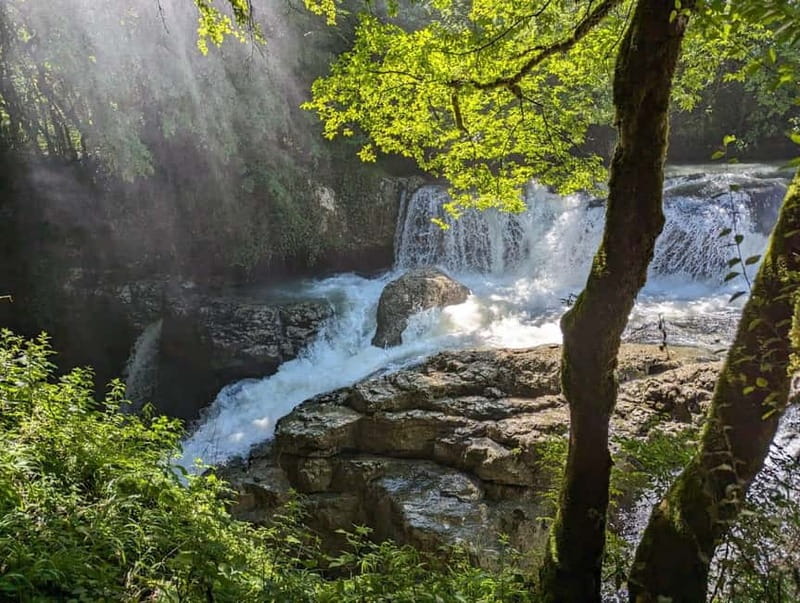 Kutaisi: Prometheus Cave & Martvili Canyon Guided Tours - Guides Make It: Giorgii, Zura, Rezi, Nini, and Noni
