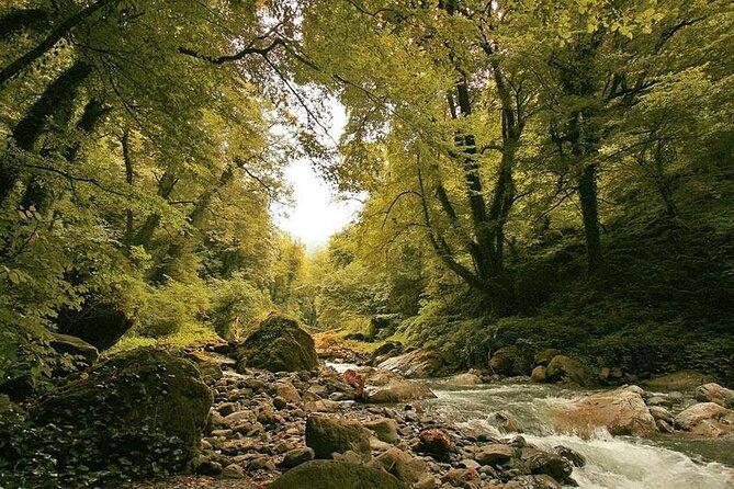 Lagodekhi - A day hiking from Tbilisi - Why Ninoskhevi Feels Like a Georgia Nature Day You Can Actually Do