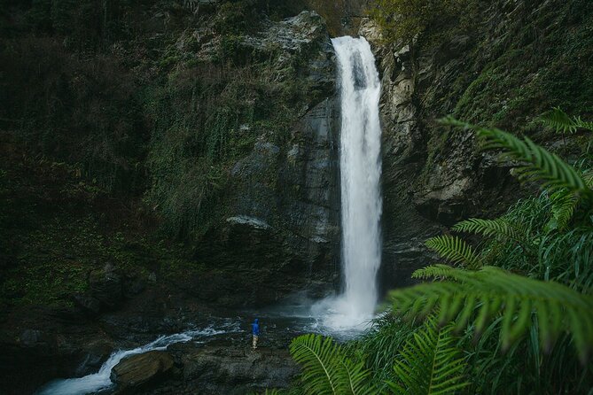 Lagodekhi - A day hiking from Tbilisi - Following the Ninoskhevi River: Small Falls, Boulders, and Plant Details