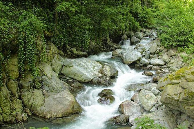 Lagodekhi - A day hiking from Tbilisi - Price and Value: What $95 Buys You in Real Terms