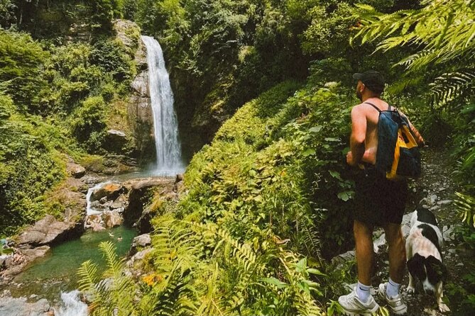 Lagodekhi - A day hiking from Tbilisi - What to Pack for a Moderate Forest Hike (And Not Regret It Later)