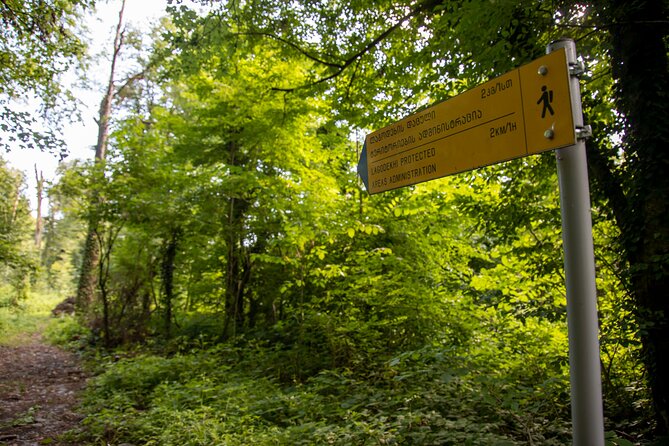 Lagodekhi - A day hiking from Tbilisi - Start at the Gurgeniani Visitor Center: The Trail You’ll Remember