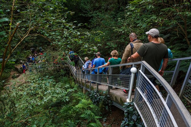 Martvili canyon & Prometheus cave group tour from Tbilisi - Price and the real cost after fees