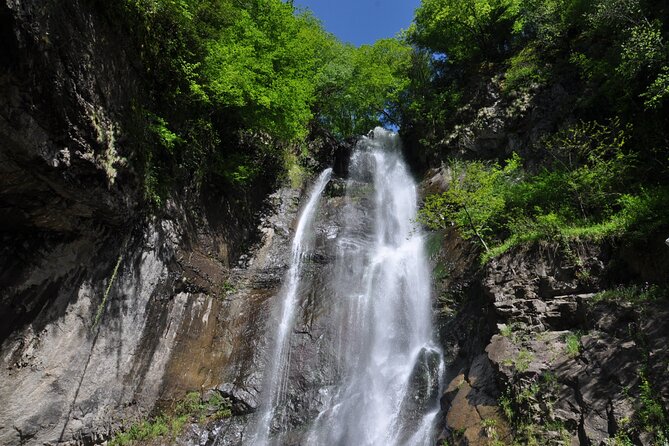 Mountains of Adjara Private Wine Tour from Batumi - What the flow feels like, start time, and how to plan your day