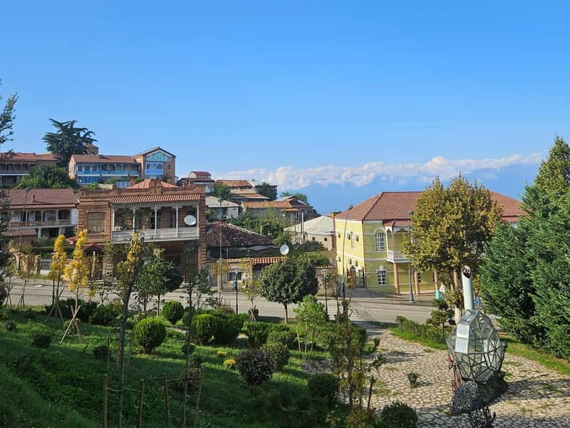 One-day tour in Kakheti with a guide and free wine tasting - Mzgigul farmers and home-style wine with sweets