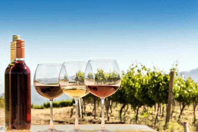 Private Day Trip to Kakheti Wine Region Including Wine Tasting - Food Reality Check: Lunch Is Not Included, So Plan It