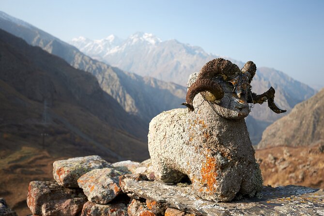 Private day trip to the Caucasus mountains and the Russian border - Dariali Gorge and the Georgian-Russian border area: where the day ends